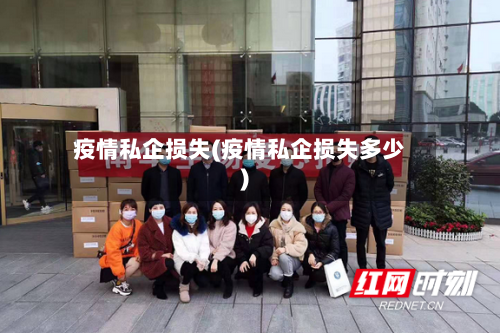 疫情私企损失(疫情私企损失多少)
