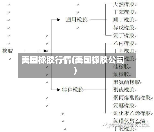 美国橡胶行情(美国橡胶公司)-第2张图片