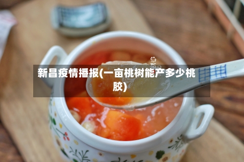 新昌疫情播报(一亩桃树能产多少桃胶)