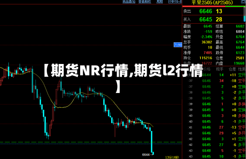 【期货NR行情,期货l2行情】
