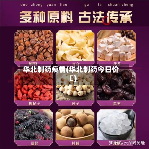 华北制药疫情(华北制药今日价挌)-第2张图片