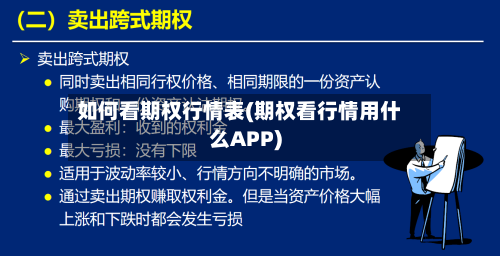 如何看期权行情表(期权看行情用什么APP)-第2张图片