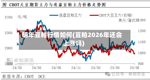 明年豆粕行情如何(豆粕2026年还会上涨吗)-第3张图片