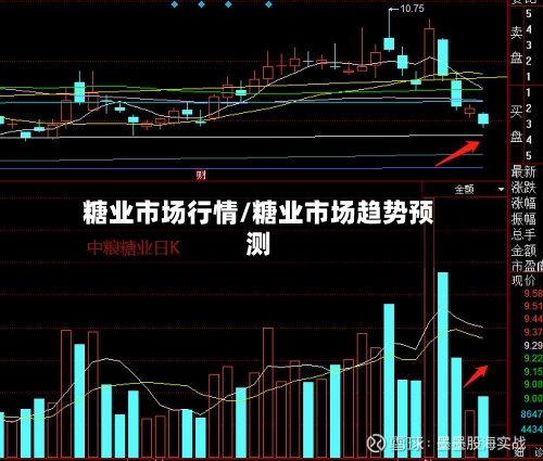 糖业市场行情/糖业市场趋势预测-第3张图片
