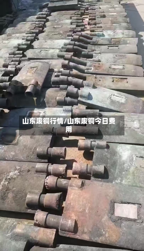 山东废铜行情/山东废铜今日费用