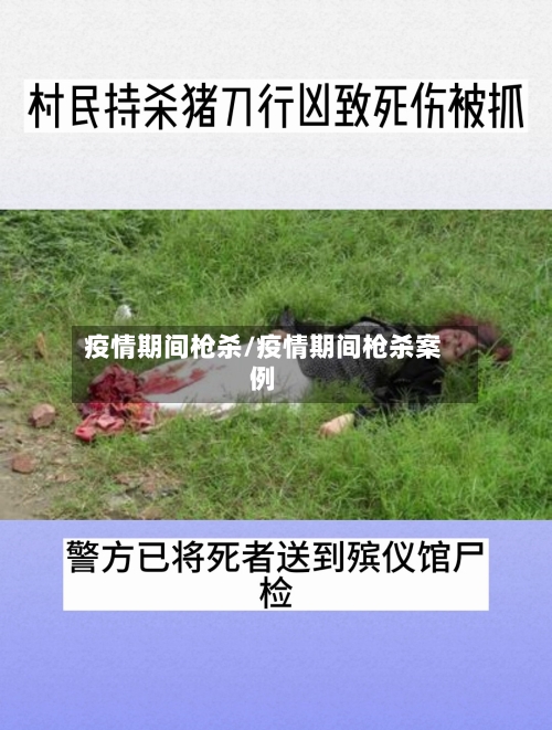 疫情期间枪杀/疫情期间枪杀案例