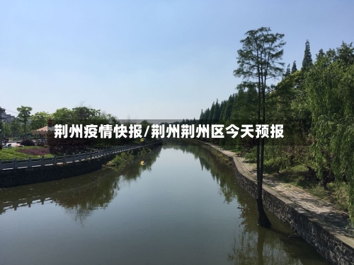 荆州疫情快报/荆州荆州区今天预报-第2张图片