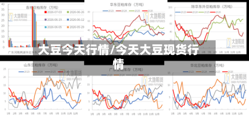 大豆今天行情/今天大豆现货行情