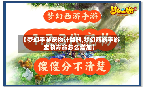 【梦幻手游宠物计算器,梦幻西游手游宠物寿命怎么增加】-第3张图片