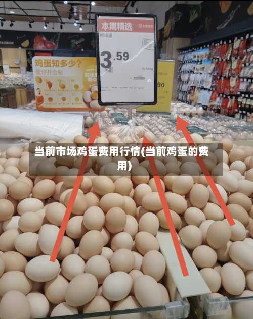 当前市场鸡蛋费用行情(当前鸡蛋的费用)