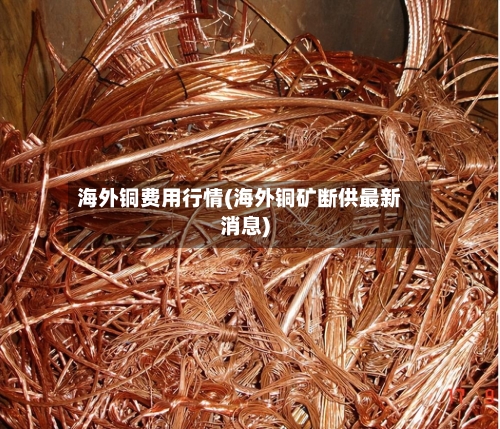 海外铜费用行情(海外铜矿断供最新消息)-第3张图片