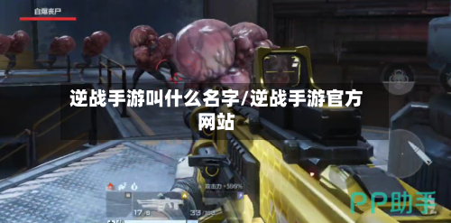 逆战手游叫什么名字/逆战手游官方网站
