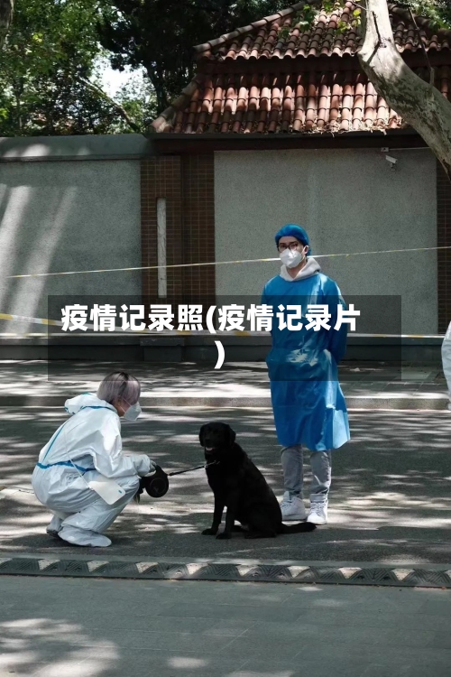 疫情记录照(疫情记录片)