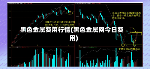 黑色金属费用行情(黑色金属网今日费用)