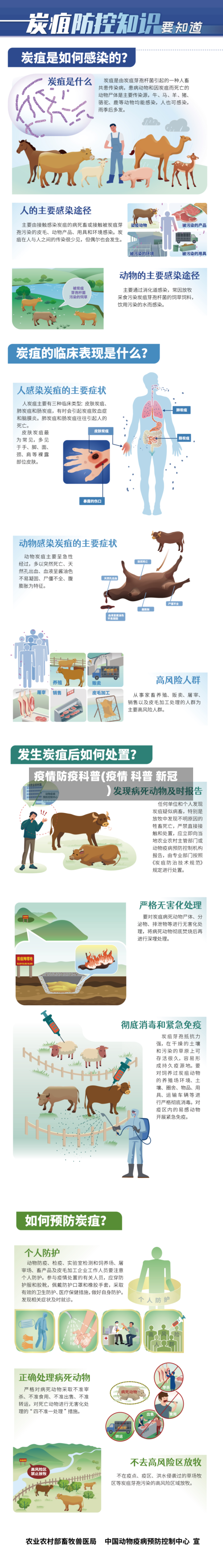 疫情防疫科普(疫情 科普 新冠)