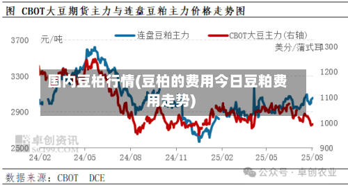 国内豆柏行情(豆柏的费用今日豆粕费用走势)