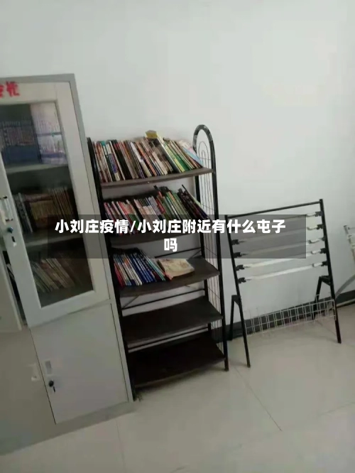 小刘庄疫情/小刘庄附近有什么屯子吗