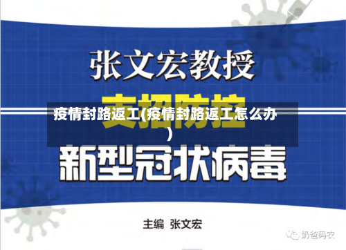 疫情封路返工(疫情封路返工怎么办)