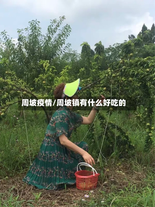 周坡疫情/周坡镇有什么好吃的-第2张图片