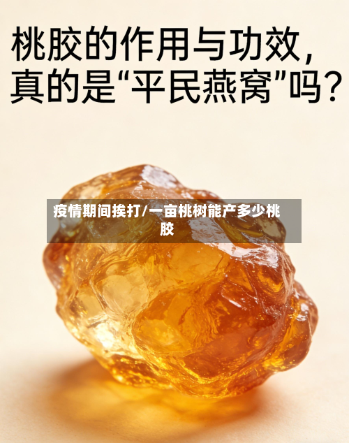 疫情期间挨打/一亩桃树能产多少桃胶-第2张图片