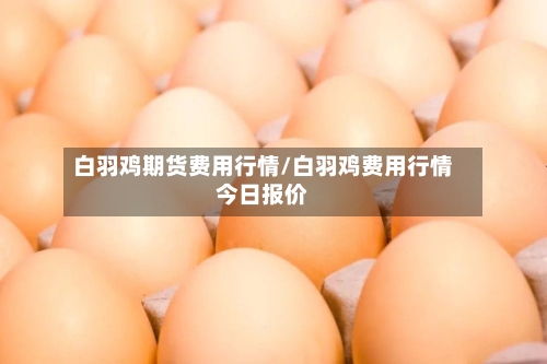 白羽鸡期货费用行情/白羽鸡费用行情今日报价