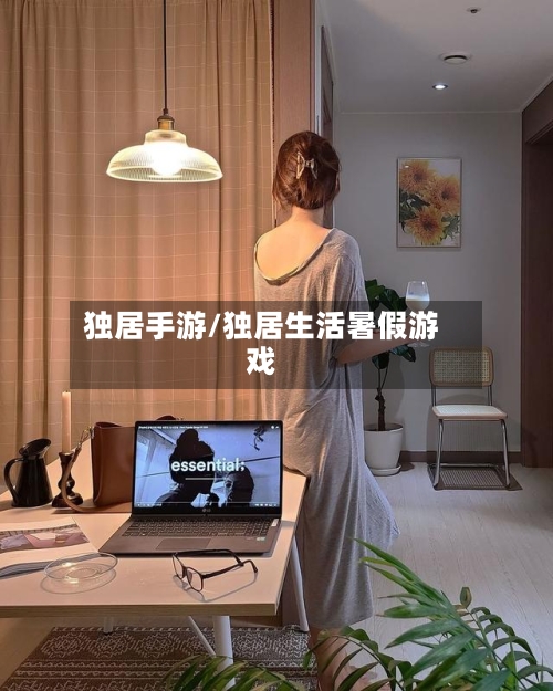 独居手游/独居生活暑假游戏