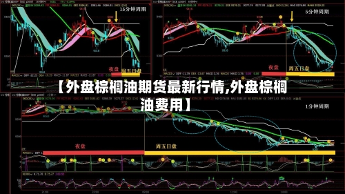 【外盘棕榈油期货最新行情,外盘棕榈油费用】-第3张图片