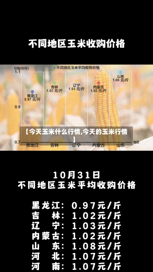 【今天玉米什么行情,今天的玉米行情】-第2张图片