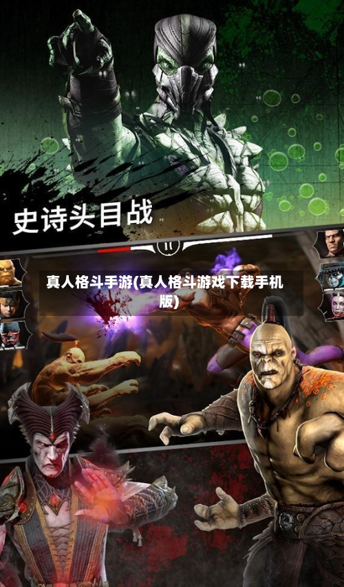 真人格斗手游(真人格斗游戏下载手机版)