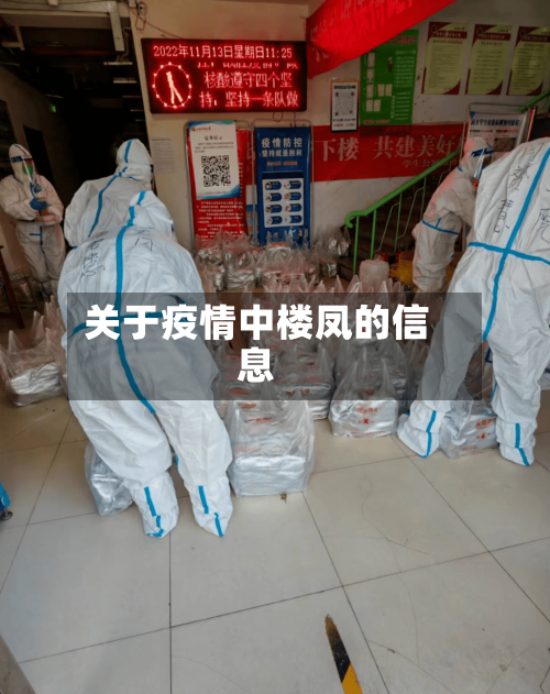 关于疫情中楼凤的信息
