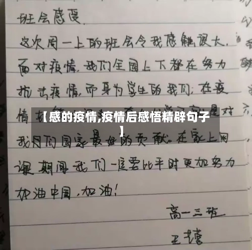 【感的疫情,疫情后感悟精辟句子】-第2张图片