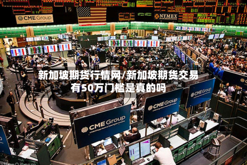 新加坡期货行情网/新加坡期货交易有50万门槛是真的吗-第3张图片