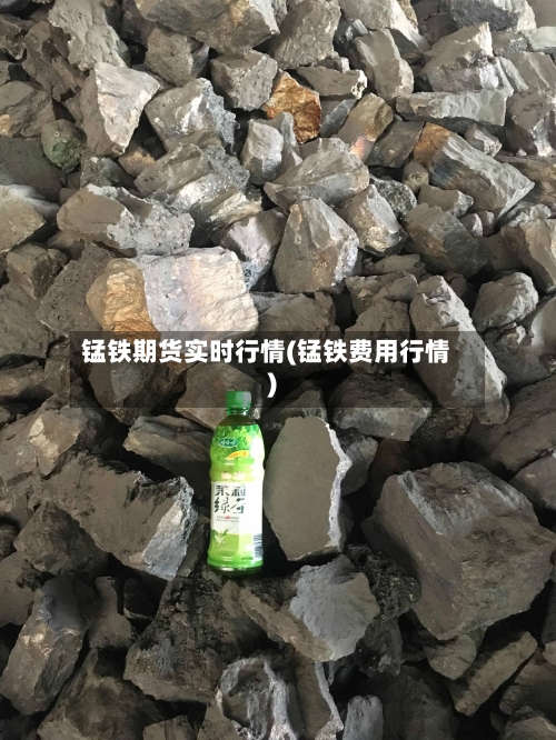 锰铁期货实时行情(锰铁费用行情)