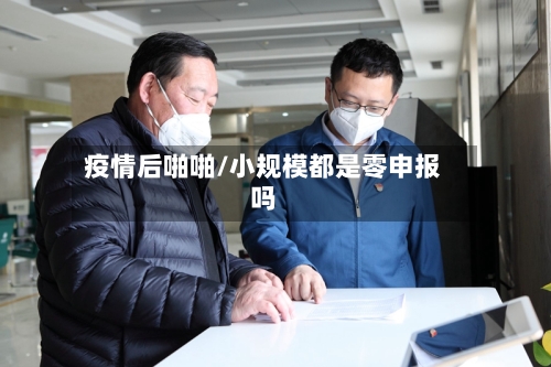 疫情后啪啪/小规模都是零申报吗