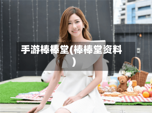 手游棒棒堂(棒棒堂资料)