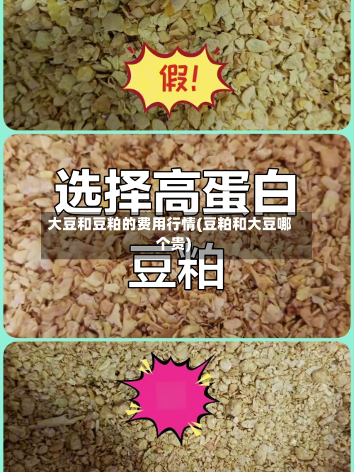 大豆和豆粕的费用行情(豆粕和大豆哪个贵)