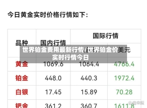 世界铂金费用最新行情/世界铂金价实时行情今日-第2张图片
