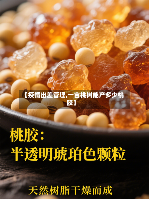 【疫情出差管理,一亩桃树能产多少桃胶】