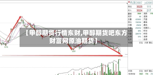 【甲醇期货行情东财,甲醇期货吧东方财富网原油期货】
