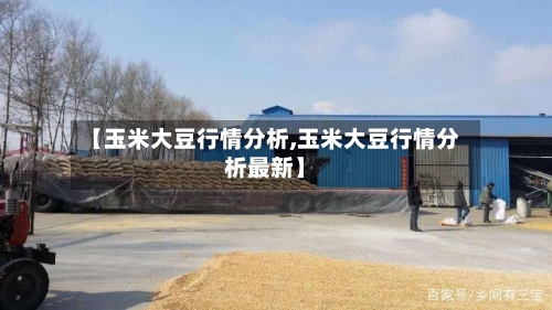 【玉米大豆行情分析,玉米大豆行情分析最新】
