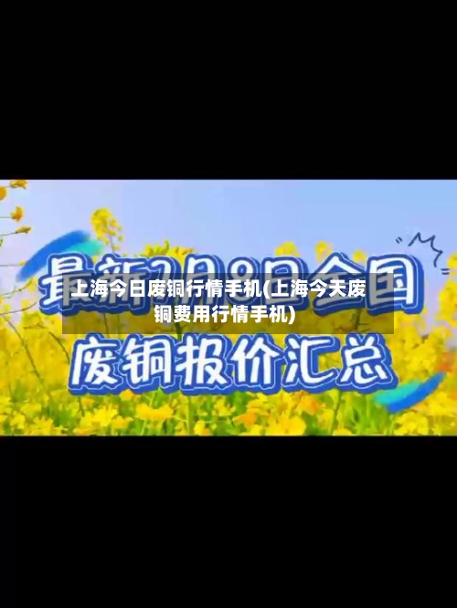 上海今日废铜行情手机(上海今天废铜费用行情手机)