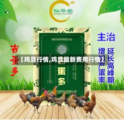 【鸡旦行情,鸡旦最新费用行情】