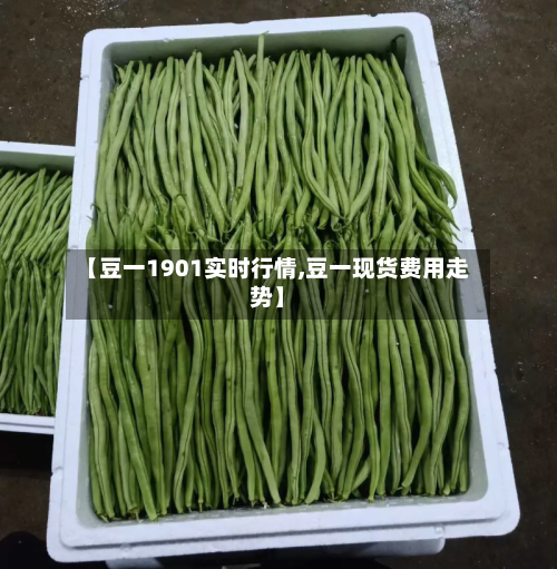 【豆一1901实时行情,豆一现货费用走势】