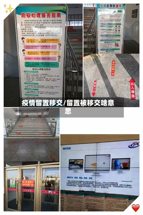 疫情留置移交/留置被移交啥意思