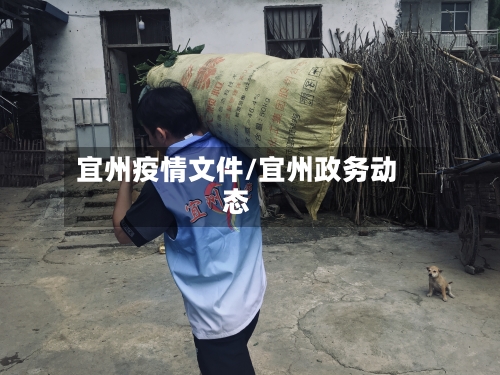 宜州疫情文件/宜州政务动态