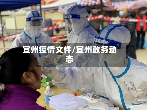 宜州疫情文件/宜州政务动态-第2张图片