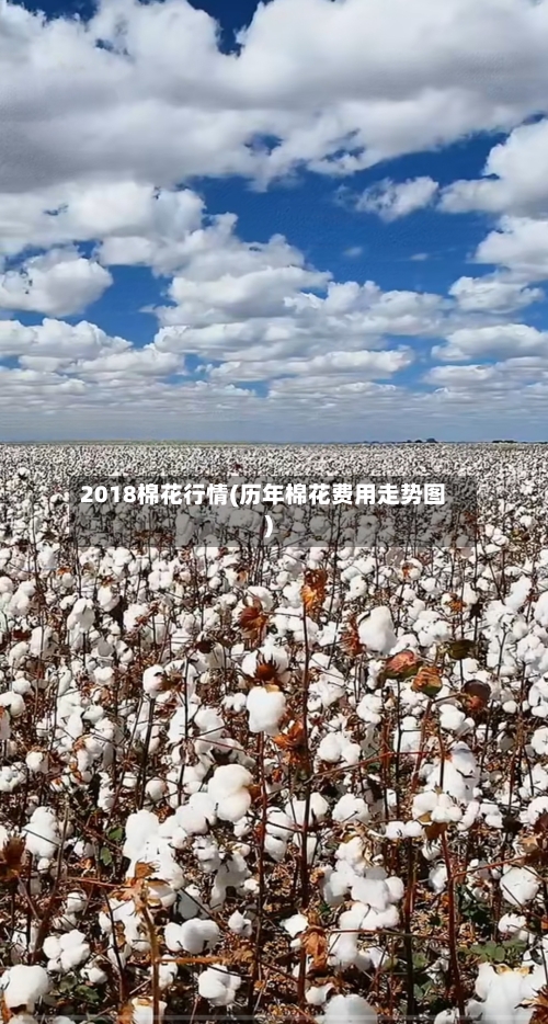 2018棉花行情(历年棉花费用走势图)-第3张图片