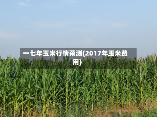 一七年玉米行情预测(2017年玉米费用)
