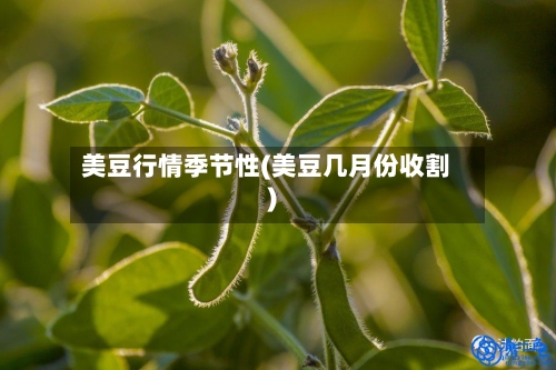 美豆行情季节性(美豆几月份收割)