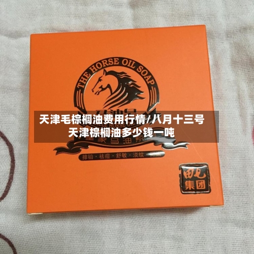 天津毛棕榈油费用行情/八月十三号天津棕榈油多少钱一吨